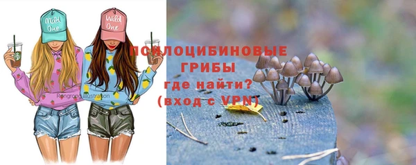 ГАЛЛЮЦИНОГЕННЫЕ ГРИБЫ Лиски