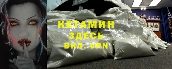 винт Лагань