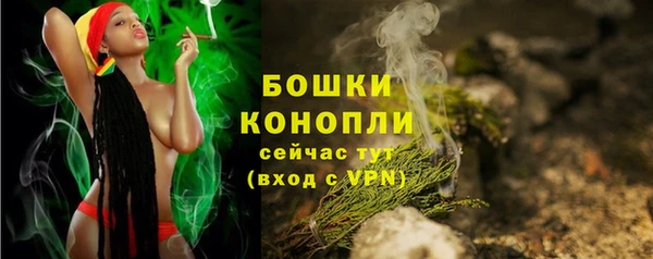 молекула духа Лихославль