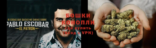 ГАЛЛЮЦИНОГЕННЫЕ ГРИБЫ Лиски