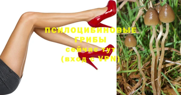 ГАЛЛЮЦИНОГЕННЫЕ ГРИБЫ Лиски